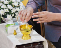 ผู้ว่าฯ สุราษฎร์ธานีนำพุทธศาสนิกชนนับพันคนร่วมงานบุญประเพณีว ... พารามิเตอร์รูปภาพ 14