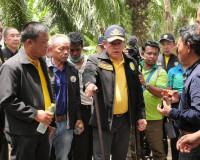 รมว.เกษตรและสหกรณ์ลงพื้นที่ตรวจราชการ ณ จังหวัดสุราษฎร์ธานี  ... พารามิเตอร์รูปภาพ 11