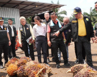 รมว.เกษตรและสหกรณ์ลงพื้นที่ตรวจราชการ ณ จังหวัดสุราษฎร์ธานี  ... พารามิเตอร์รูปภาพ 14