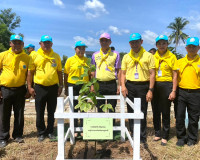 รองผู้ว่าราชการจังหวัดสุราษฎร์ธานี ในฐานะรองผู้อำนวยการจิตอา ... พารามิเตอร์รูปภาพ 8
