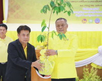 สุราษฎร์ธานีจัดพิธีมอบกล้าไม้ภายใต้โครงการ 72 ล้านต้น พลิกฟื ... พารามิเตอร์รูปภาพ 10