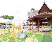 ผู้ว่าราชการจังหวัดสุราษฎร์ธานี เป็นประธานประกอบพิธีพลีกรรมต ... พารามิเตอร์รูปภาพ 16