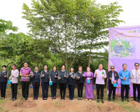 พัฒนาชุมชนจังหวัดสุราษฎร์ธานี Kick Off กิจกรรม &quot;ทางนี้มีผล ผ ... พารามิเตอร์รูปภาพ 12