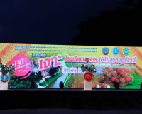 เปิดอย่างเป็นทางการ งานเทศกาลเงาะโรงเรียนนาสาร (GI) ครั้งที่ ... พารามิเตอร์รูปภาพ 11