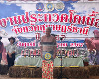 รองผู้ว่าราชการจังหวัดสุราษฎร์ธานี เป็นประธานกล่าวปิดงานประก ... พารามิเตอร์รูปภาพ 4