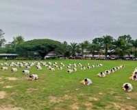 ผู้ว่าราชการจังหวัดสุราษฎร์ธานี เปิดกิจกรรมเฉลิมพระเกียรติพร ... พารามิเตอร์รูปภาพ 7