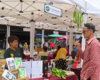 จังหวัดสุราษฎร์ธานี เปิดประตูสู่ตลาด 45 ผลิตภัณฑ์ OTOP ใหม่  ... พารามิเตอร์รูปภาพ 17