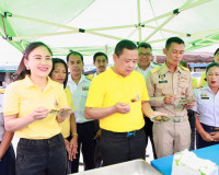 ผู้ว่าราชการจังหวัดสุราษฎร์ธานี นำส่วนราชการ ประชาชน ปล่อยพั ... พารามิเตอร์รูปภาพ 19