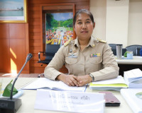 รองผู้ว่าราชการจังหวัดสุราษฎร์ธานี เป็นประธานในการประชุมคณะก ... พารามิเตอร์รูปภาพ 3