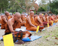 พระภิกษุสงฆ์ทั้งไทยและต่างชาติกว่า 500 รูป ธุดงผ่านจังหวัดสุ ... พารามิเตอร์รูปภาพ 8