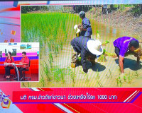 รองผู้ว่าราชการจังหวัดสุราษฎร์ธานี ให้สัมภาษณ์&quot;รายการแหลงข่า ... พารามิเตอร์รูปภาพ 6