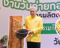รองผู้ว่าราชการจังหวัดสุราษฎร์ธานี ให้การต้อนรับนางสาวอนงค์น ... พารามิเตอร์รูปภาพ 7
