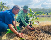 รองผู้ว่าราชการจังหวัดสุราษฎร์ธานี เป็นประธานในพิธีเปิดกิจกร ... พารามิเตอร์รูปภาพ 11