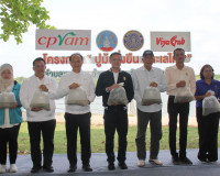ผู้ว่าฯ สุราษฎร์ธานีร่วมปล่อยลูกปูม้า 200,000 ตัว คืนสู่ธรรม ... พารามิเตอร์รูปภาพ 4