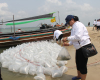 ผู้ว่าฯ สุราษฎร์ธานีร่วมปล่อยลูกปูม้า 200,000 ตัว คืนสู่ธรรม ... พารามิเตอร์รูปภาพ 20