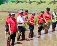รองผู้ว่าราชการจังหวัดสุราษฎร์ธานี ให้การต้อนรับนายพิพัฒน์ ร ... พารามิเตอร์รูปภาพ 12