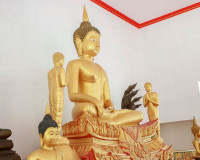 ข้าราชการและประชาชนจังหวัดสุราษฎร์ธานีพร้อมใจร่วมพิธีเจริญพร ... พารามิเตอร์รูปภาพ 8