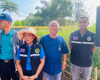รองผู้ว่าราชการจังหวัดสุราษฎร์ธานี เป็นประธานเปิดกิจกรรม &quot;ผู ... พารามิเตอร์รูปภาพ 3