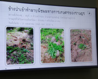 จังหวัดสุราษฎร์ธานีประชุมพิจารณาให้ความช่วยเหลือราษฎรผู้ประส ... พารามิเตอร์รูปภาพ 18