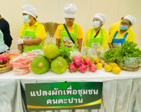 รองผู้ว่าราชการจังหวัดสุราษฎร์ธานี เป็นประธานกล่าวเปิดโครงกา ... พารามิเตอร์รูปภาพ 13