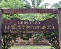 รองผู้ว่าราชการจังหวัดฯ ร่วมการแถลงข่าวจัดงานเทศกาลเงาะโรงเร ... พารามิเตอร์รูปภาพ 8