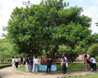 รองผู้ว่าราชการจังหวัดฯ ร่วมการแถลงข่าวจัดงานเทศกาลเงาะโรงเร ... พารามิเตอร์รูปภาพ 9