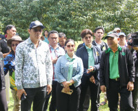 สภาเกษตรกรจังหวัดสุราษฎร์ธานีร่วมกับสมาคมทุเรียนใต้ จัดงาน &quot; ... พารามิเตอร์รูปภาพ 15