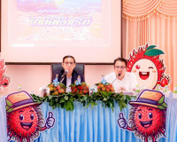 รองผู้ว่าราชการจังหวัดสุราษฎร์ธานี เป็นประธานในการประชุมคณะก ... พารามิเตอร์รูปภาพ 2