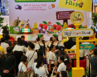 รองผู้ว่าราชการจังหวัดสุราษฎร์ธานี เป็นประธานแถลงข่าวในงานเก ... พารามิเตอร์รูปภาพ 4