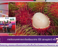 รองผู้ว่าราชการจังหวัดสุราษฎร์ธานี ออกรายการ &quot;ผู้ว่าฯคุยกับป ... พารามิเตอร์รูปภาพ 4