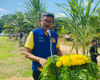รองผู้ว่าราชการจังหวัดสุราษฎร์ธานี เป็นประธานกล่าวเปิดกิจกรร ... พารามิเตอร์รูปภาพ 2