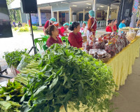 รองผู้ว่าราชการจังหวัดสุราษฎร์ธานี ให้การต้อนรับนายวิรุฬห์ ส ... พารามิเตอร์รูปภาพ 10
