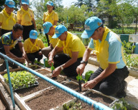 รองผู้ว่าราชการจังหวัด เป็นประธานกิจกรรมจิตอาสาพัฒนาและบริกา ... พารามิเตอร์รูปภาพ 11