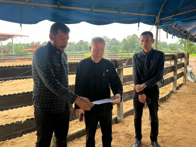 รองผู้ว่าราชการจังหวัดสุราษฎร์ธานี เป็นประธานการตรวจสถานที่ส ... พารามิเตอร์รูปภาพ 1