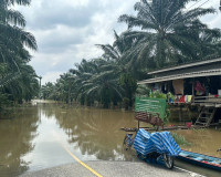 รองผู้ว่าราชการจังหวัดสุราษฎร์ธานี ลงพื้นที่ติดตามสถานการณ์อ ... พารามิเตอร์รูปภาพ 10