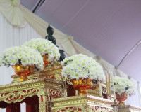 ข้าราชการและประชาชนจังหวัดสุราษฎร์ธานีพร้อมใจร่วมพิธีเจริญพร ... พารามิเตอร์รูปภาพ 16