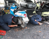 ผู้ว่าฯ สุราษฎร์ธานีนำจิตอาสาพระราชทานและพสกนิกรทุกหมู่เหล่า ... พารามิเตอร์รูปภาพ 14