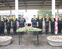 ผู้ว่าฯ สุราษฎร์ธานีนำจิตอาสาพระราชทานและพสกนิกรทุกหมู่เหล่า ... พารามิเตอร์รูปภาพ 27