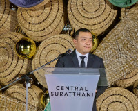 สุราษฎร์ธานีเปิดไฟต้นคริสต์มาส “พราวราสา” ยกย่องมะพร้าว–หัตถ ... พารามิเตอร์รูปภาพ 10