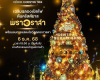 สุราษฎร์ธานีเปิดไฟต้นคริสต์มาส “พราวราสา” ยกย่องมะพร้าว–หัตถ ... พารามิเตอร์รูปภาพ 15