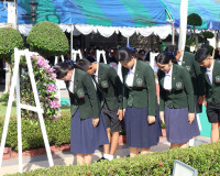 ผู้ว่าราชการจังหวัดสุราษฎร์ธานี เป็นประธานงาน "วันวิญญาณ" ปร ... พารามิเตอร์รูปภาพ 12