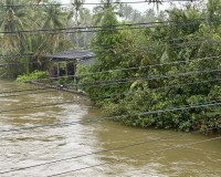 ผู้ว่าราชการจังหวัดสุราษฎร์ธานีลงพื้นที่ตรวจสอบการติดตั้งเคร ... พารามิเตอร์รูปภาพ 19