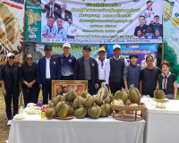 ผู้ว่าฯ สุราษฎร์ธานี ลงพื้นที่ตรวจเยี่ยมสวนทุเรียน ของสมาชิก ... พารามิเตอร์รูปภาพ 24