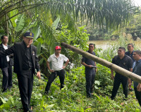 รองผู้ว่าราชการจังหวัดสุราษฎร์ธานี เป็นประธานการประชุมคณะอนุ ... พารามิเตอร์รูปภาพ 9