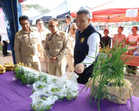 ผู้ว่าฯ สุราษฎร์ธานี เปิดเวทีสัญจรอำเภอไชยา รับฟังปัญหาผู้นำ ... พารามิเตอร์รูปภาพ 74