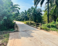 รองผู้ว่าราชการจังหวัดสุราษฎร์ธานี ประธานคณะกรรมการพิจารณากา ... พารามิเตอร์รูปภาพ 5