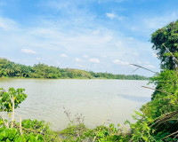 รองผู้ว่าราชการจังหวัดสุราษฎร์ธานี ประธานคณะกรรมการพิจารณากา ... พารามิเตอร์รูปภาพ 10