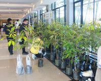 สมาคมการค้าทุเรียนไทยอัตลักษณ์ชุมชน เปิดเวทีเสวนา “SURAT DUR ... พารามิเตอร์รูปภาพ 8