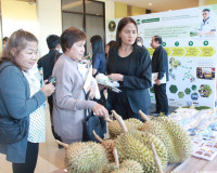 สมาคมการค้าทุเรียนไทยอัตลักษณ์ชุมชน เปิดเวทีเสวนา “SURAT DUR ... พารามิเตอร์รูปภาพ 11