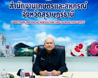 รองผู้ว่าราชการจังหวัดสุราษฎร์ธานี เข้าร่วมการประชุมคณะอนุกร ... พารามิเตอร์รูปภาพ 2
